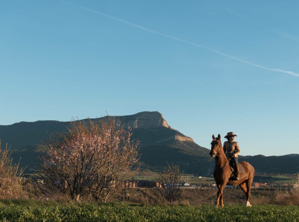 woman sitting on a horse in a field